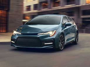 Zuffra Trading Pictures