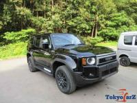 Land Cruiser 